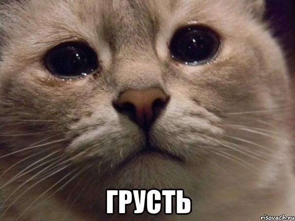 Передні амортизатори - все! 1