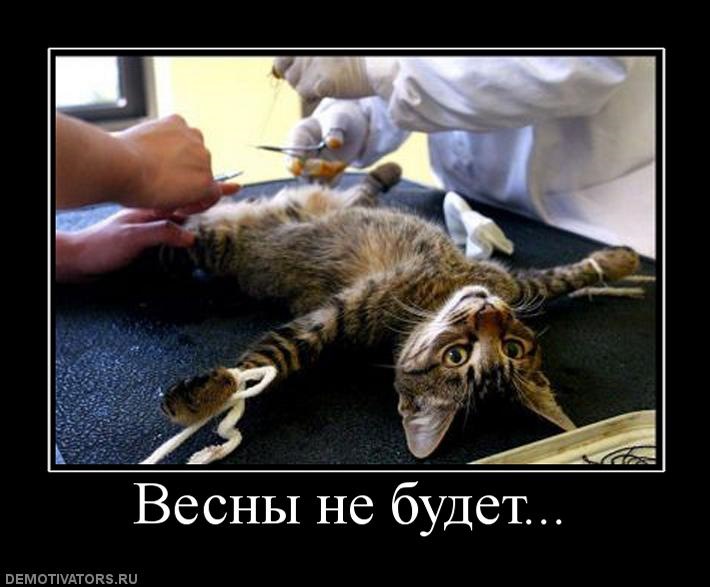 Весни не буде! 1