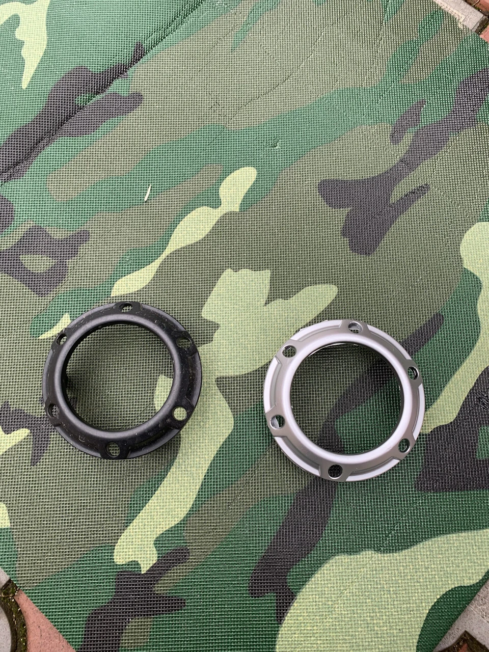 ніштячок китайський