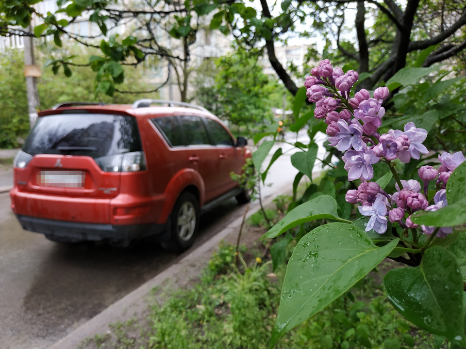 Оновка за сезоном 2