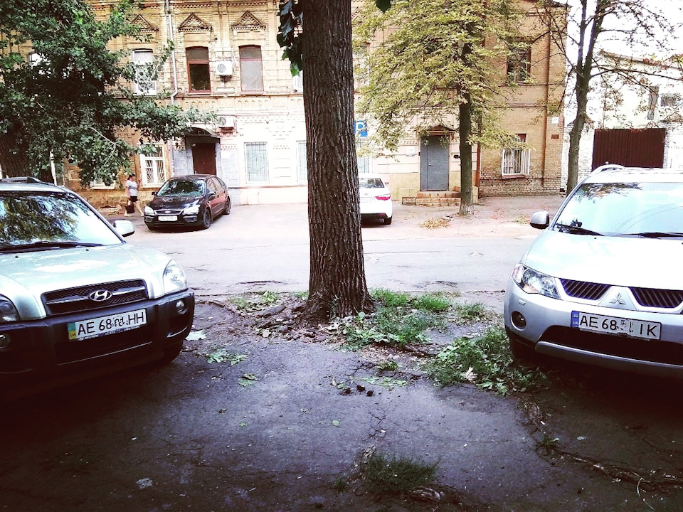 Просто фото) 1