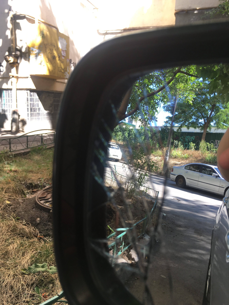 Полюбили ліву сторону 5