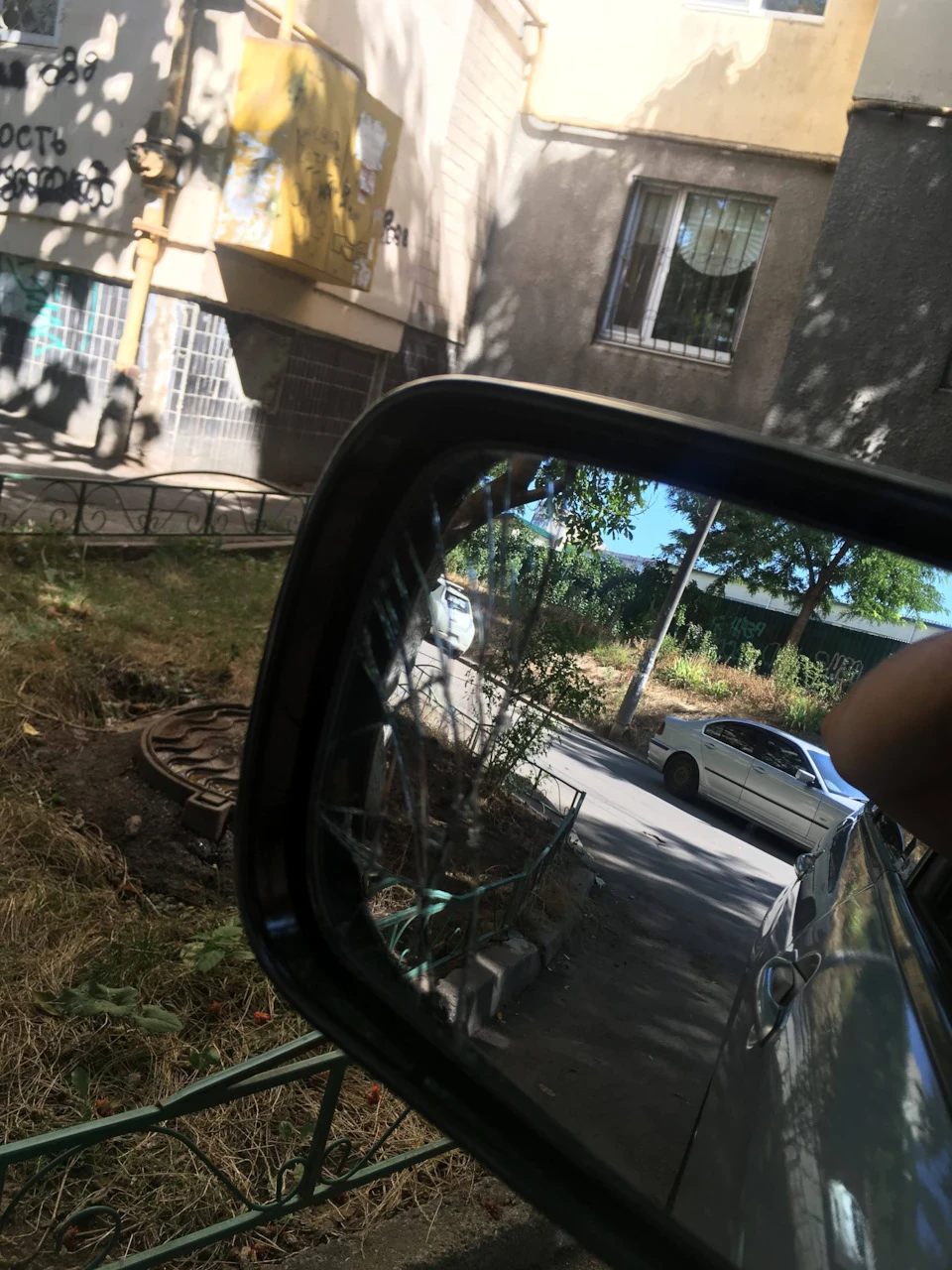 Полюбили ліву сторону