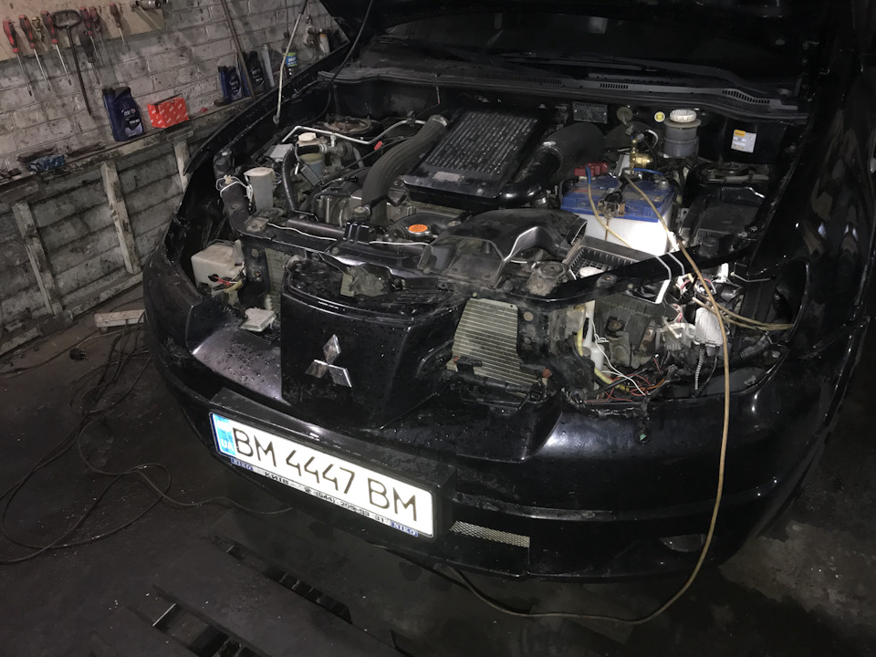 Фари (чорноока) 3