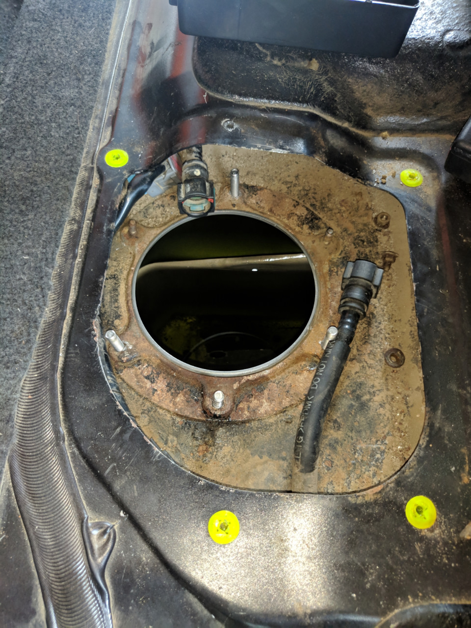 Deatschwerks DW200 Fuel Pump 255л/год 4