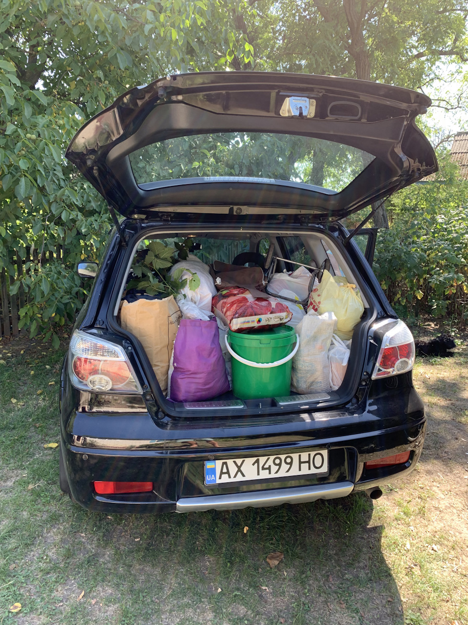 Знову змотався до села. 1