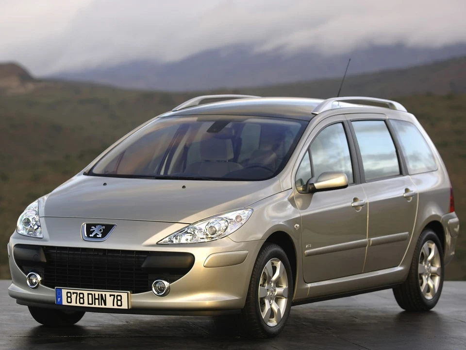 Тимчасовий запис. Продаж залишків від Peugeot 307