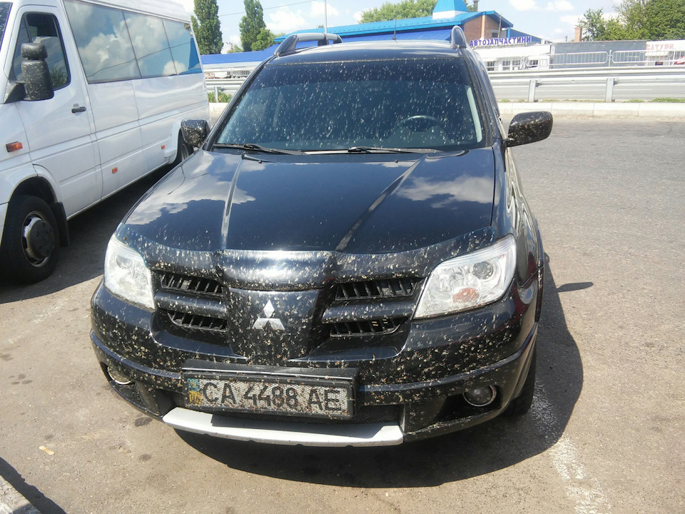 Привіт, мошка) 1