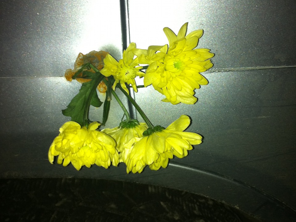 Запис, 23 грудня 2011 року 1