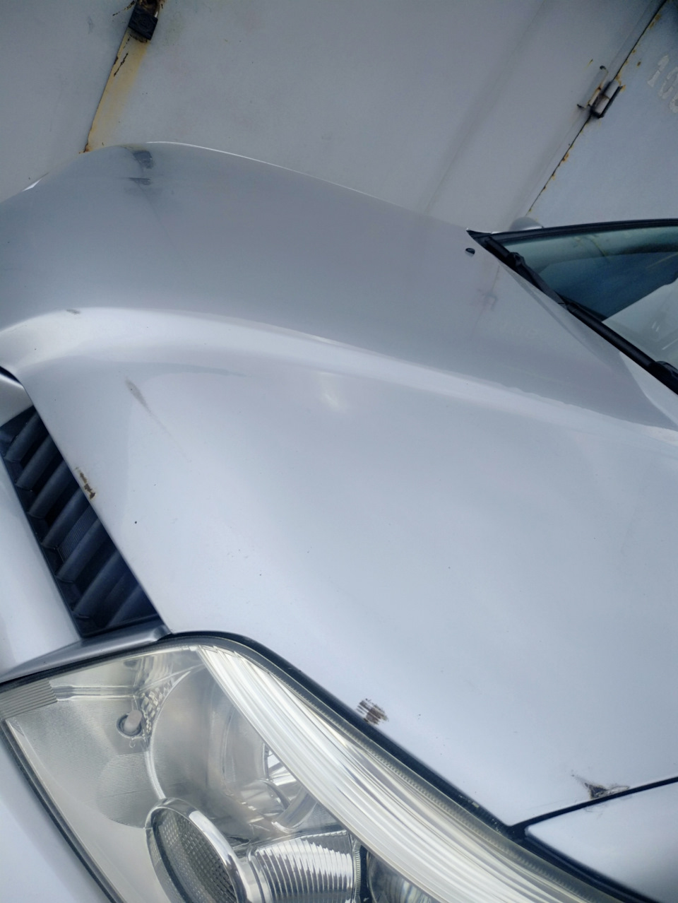 Любителям мухобійок присвячується! 3