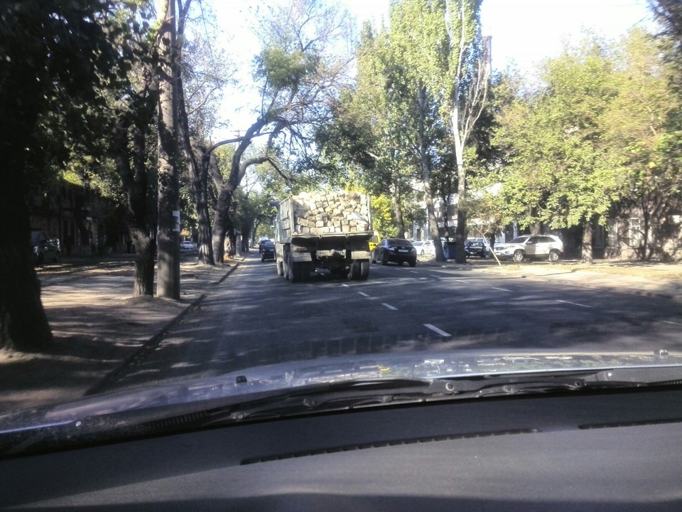 Олені на дорогах 1