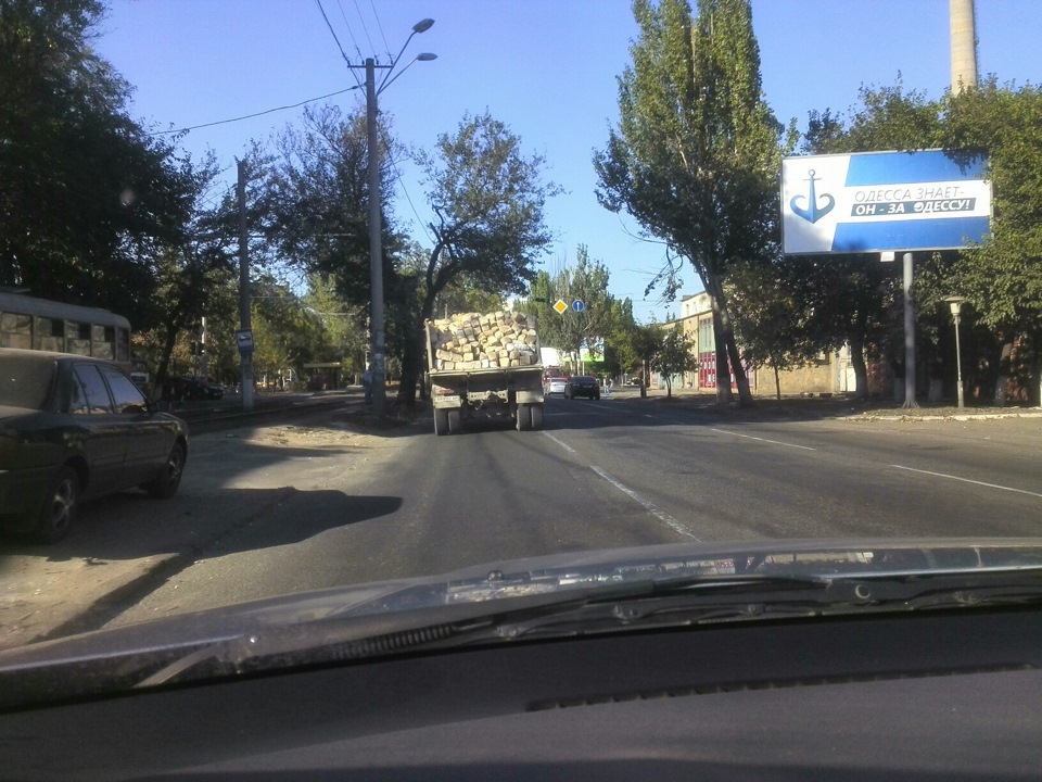 Олені на дорогах 2