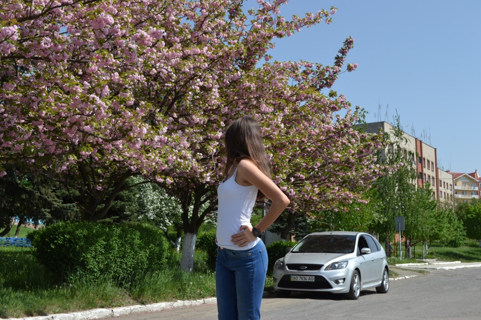 Сакура 4