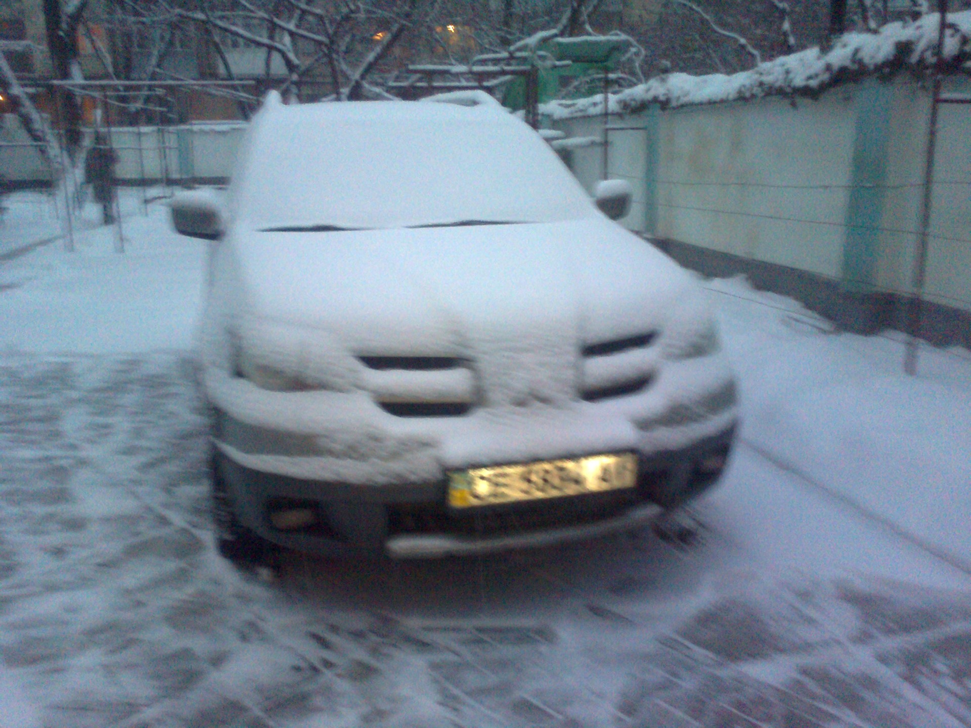 зимова зима 1