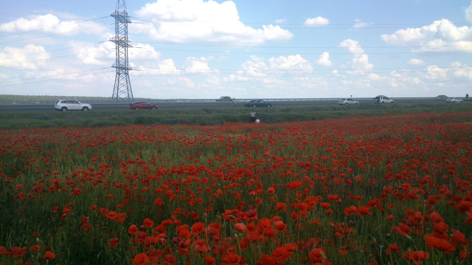 Краса на трасі 3