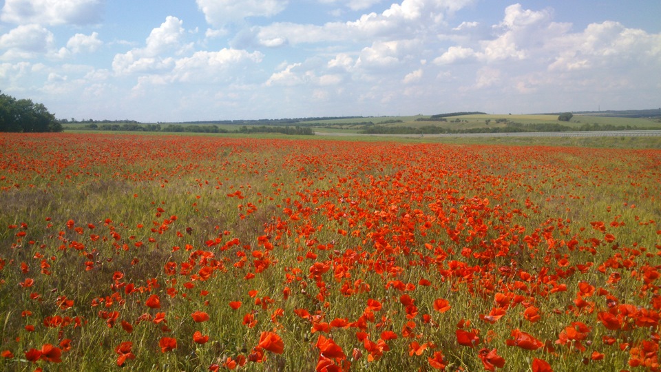 Краса на трасі 2