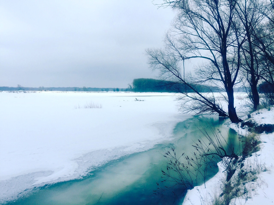 Виїзд у ліс та подорож уздовж Десни 1