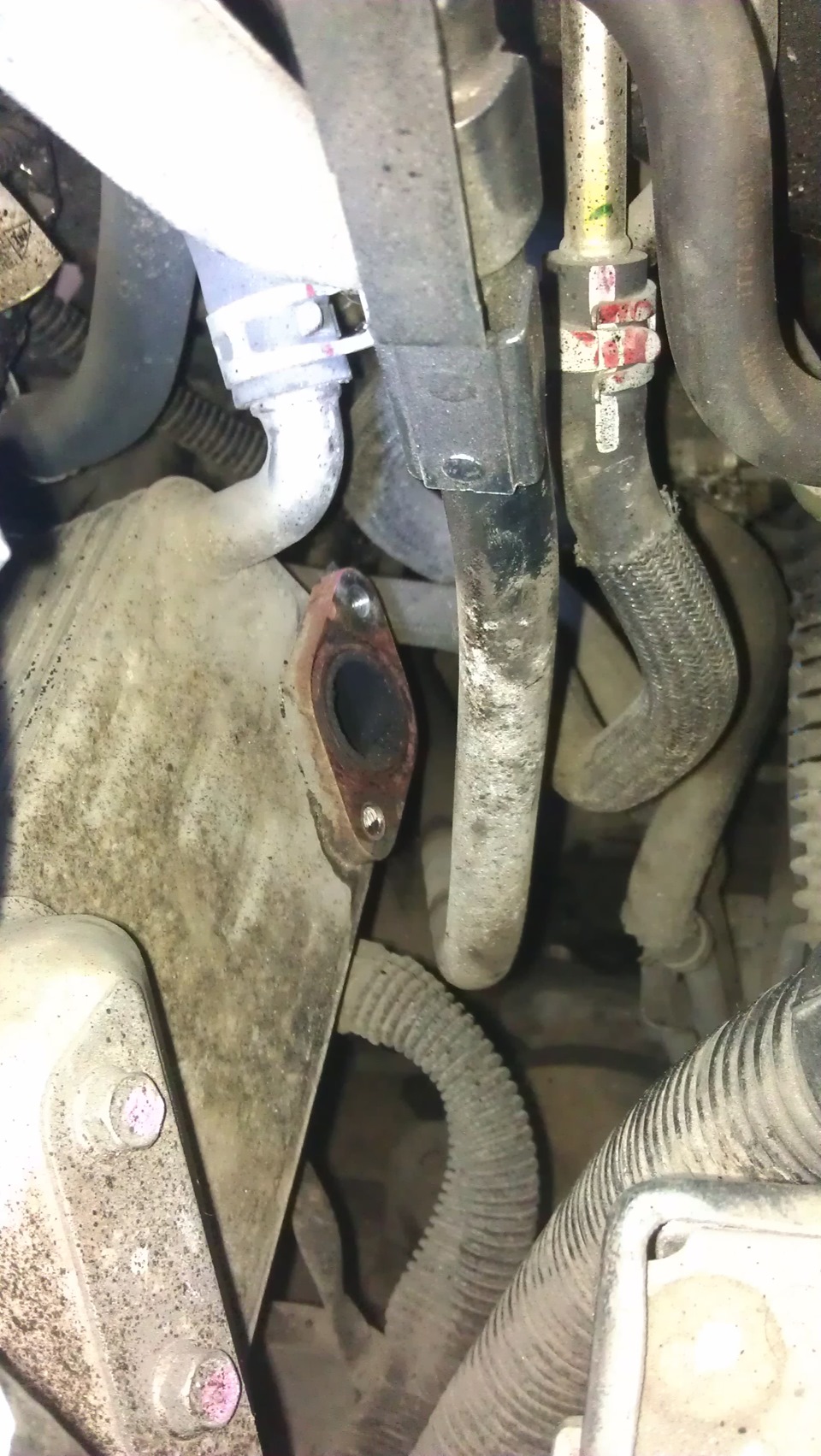 Зчитувач клапанів EGR 4
