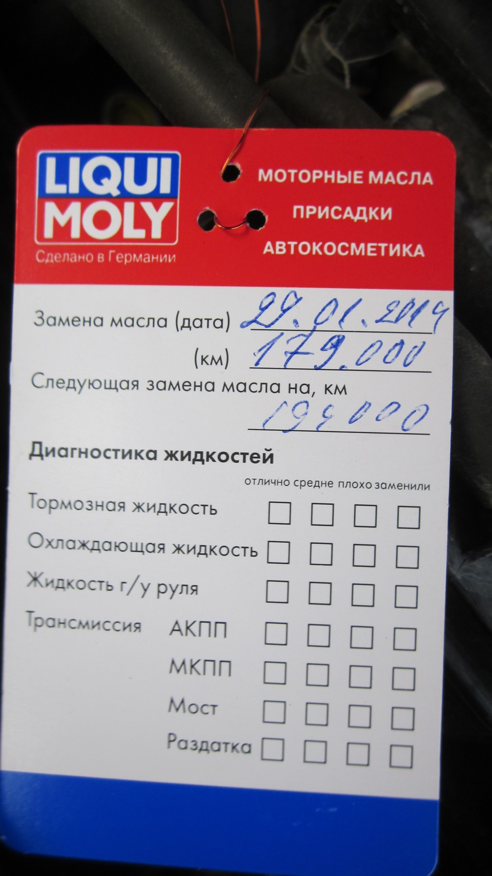 Теошечка 4