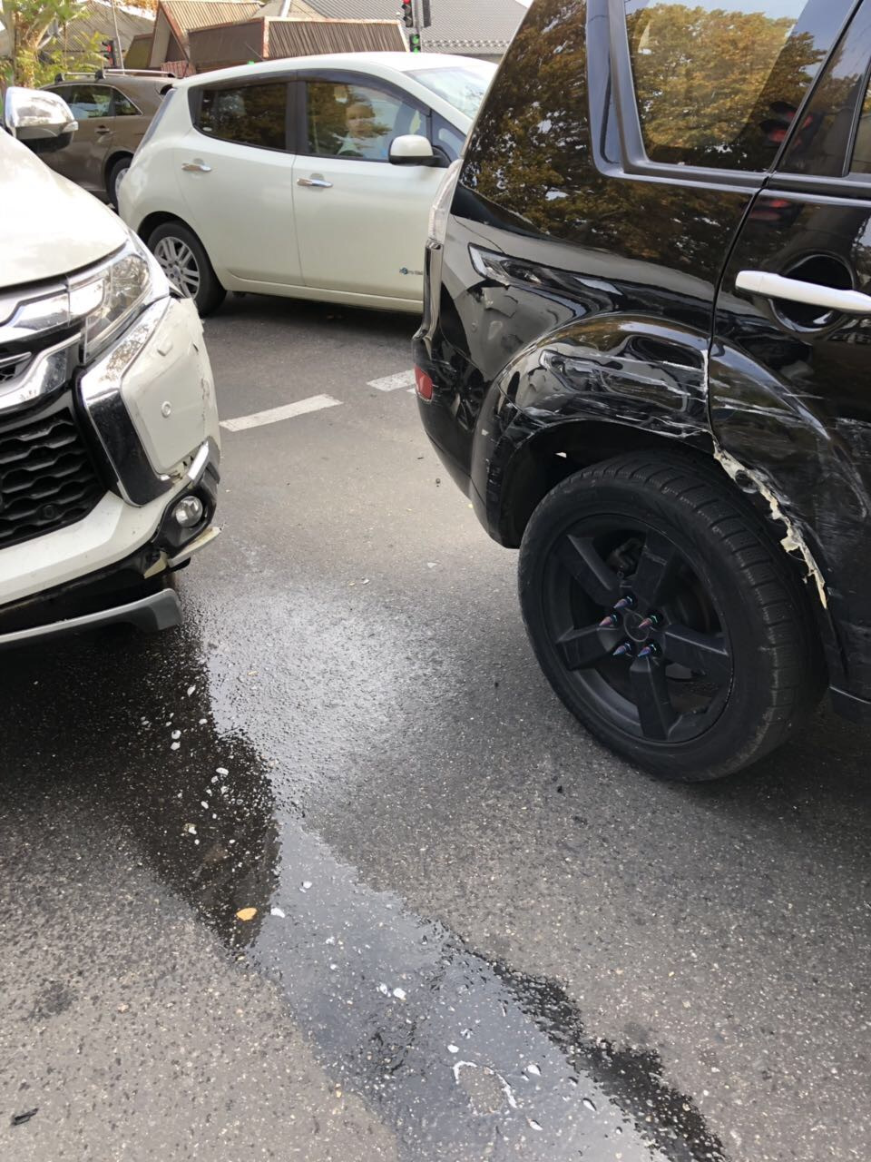 #10. Слон приехал… 3
