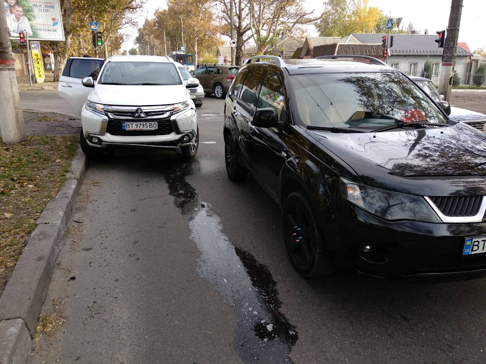 #10. Слон приехал… 2