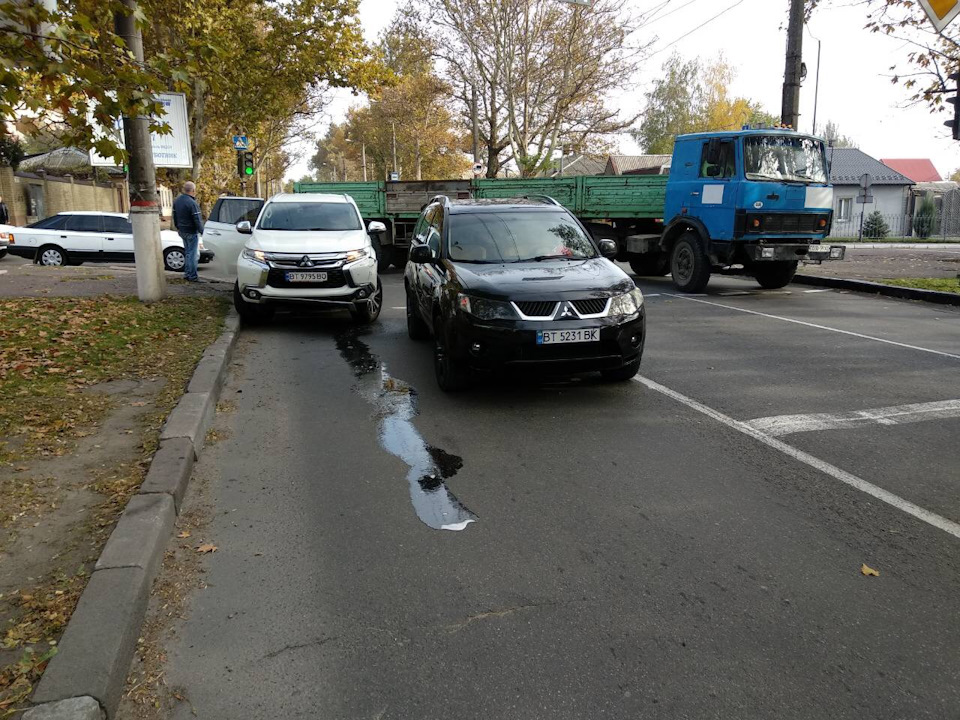 #10. Слон приехал… 1