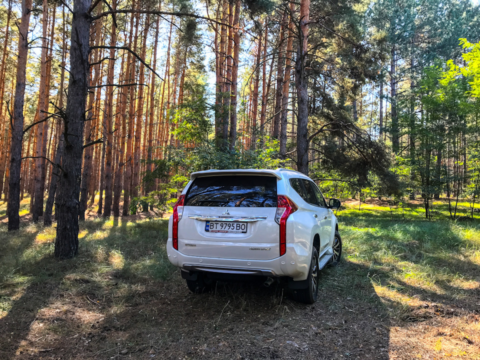 #3. Поездка в лес 3