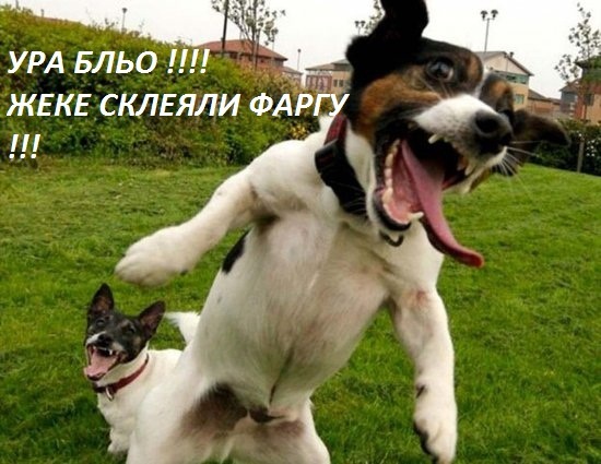 сумка, докатався))) фара і трішки позитиву))) 1