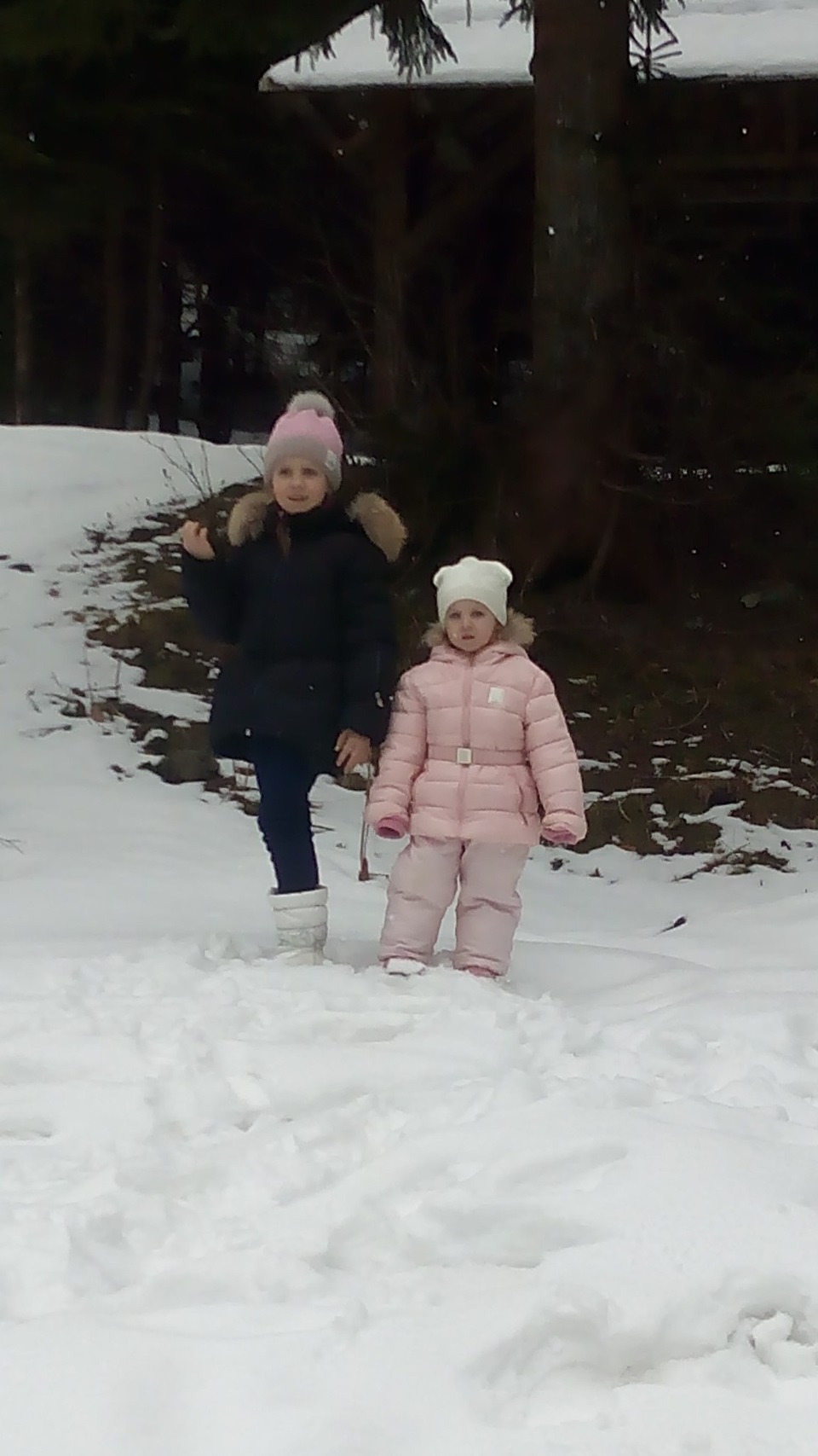 Карпати 25.03.2016 рік. 3