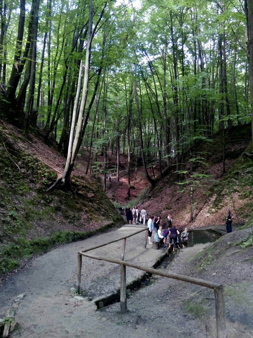 Крехів 3