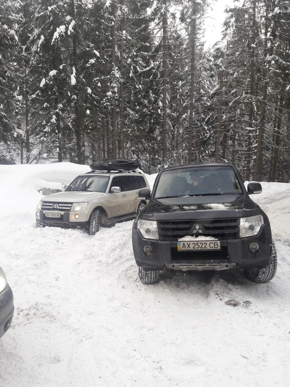 Драгобрат
