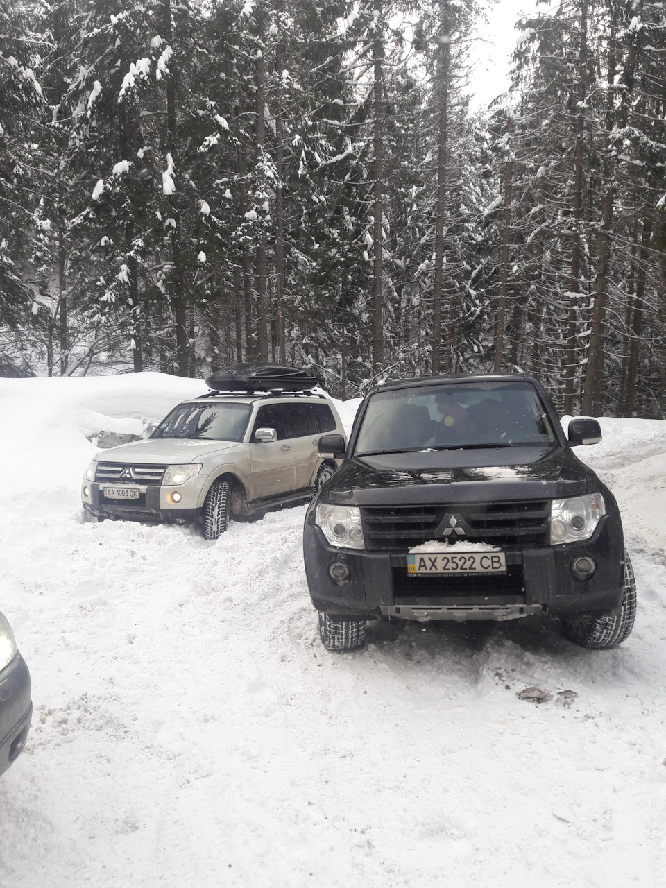 Драгобрат 1
