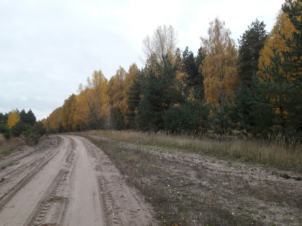 Вилазка в осінній ліс із сім'єю та друзями 2