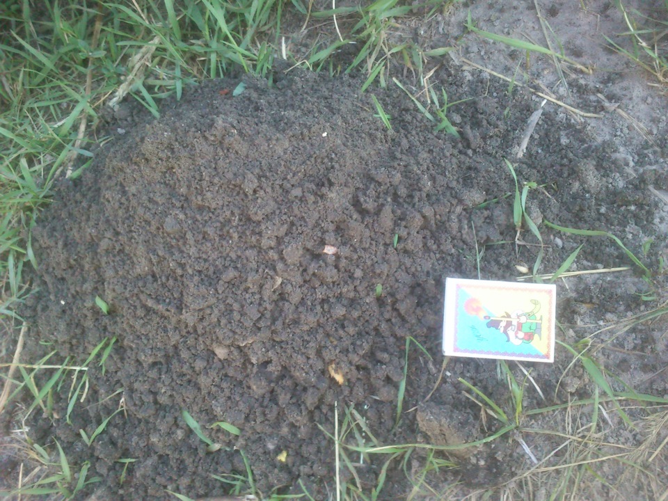 Пісок у крилах 5