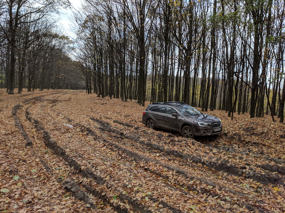 Прокотилися разом із новим Subaru Outback 2017 4