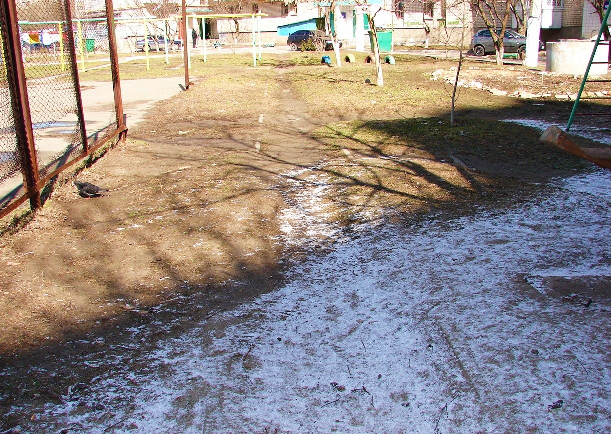 Барсик готов к лету 2