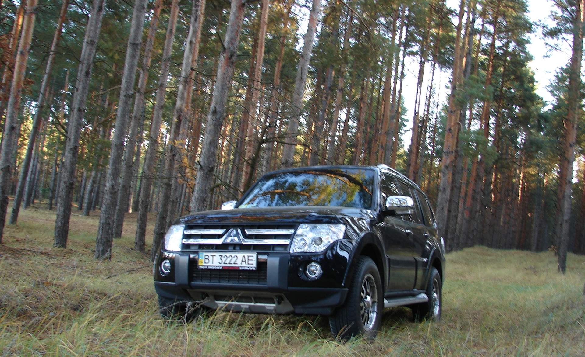 И ОПЯТЬ ЛЕС 5