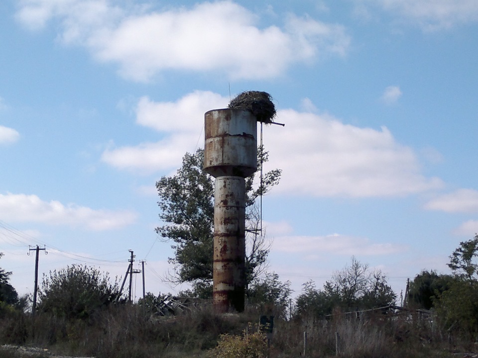 ОСІНЬ, ГРИБИ 3