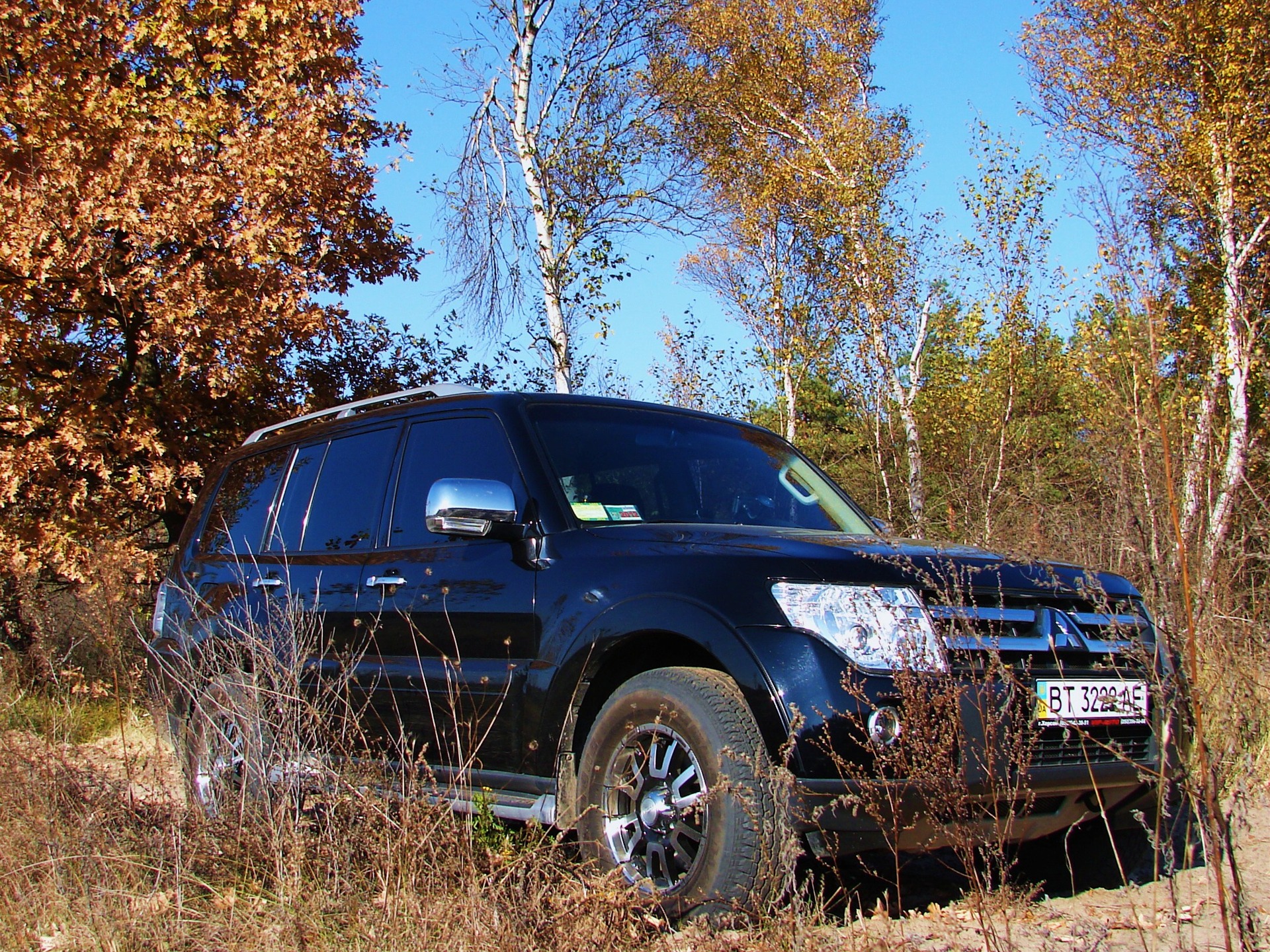 ЗОЛОТА ОСІНЬ 2010 4