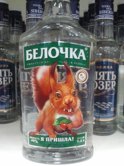 Білочка прийшла АААААА! 1
