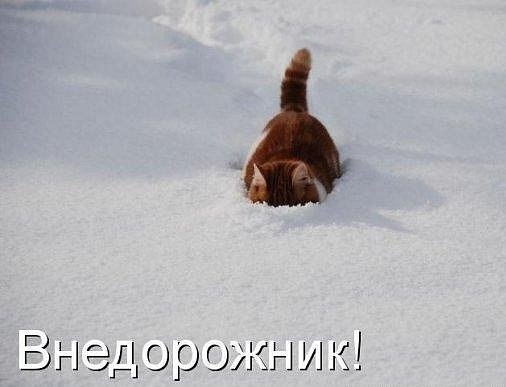 Будь-який сніг, по вуха! 1