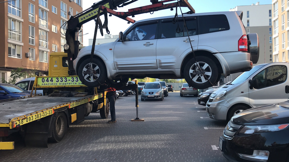 Відправив бегемота на лікування 2