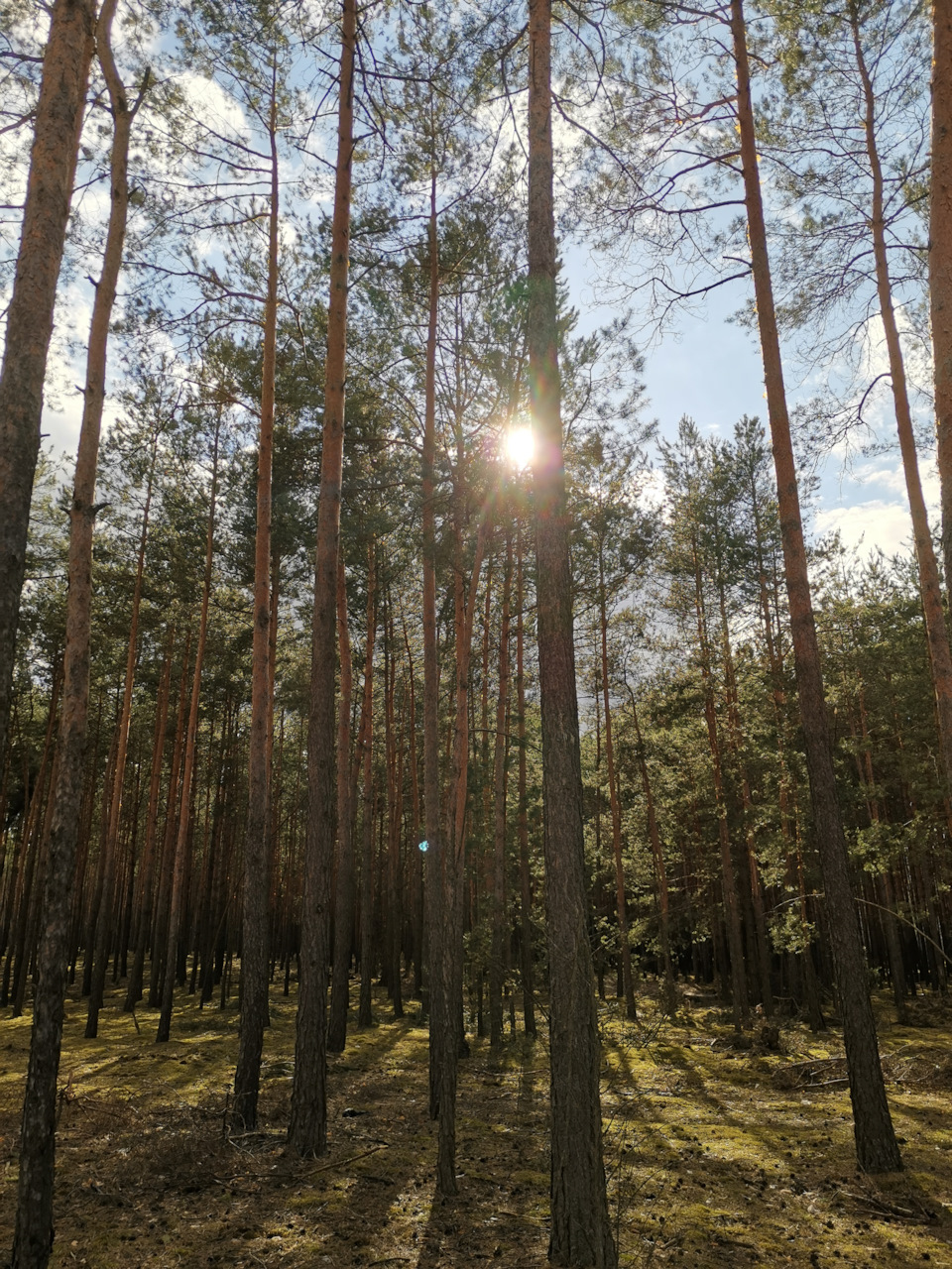 Пісок. 4