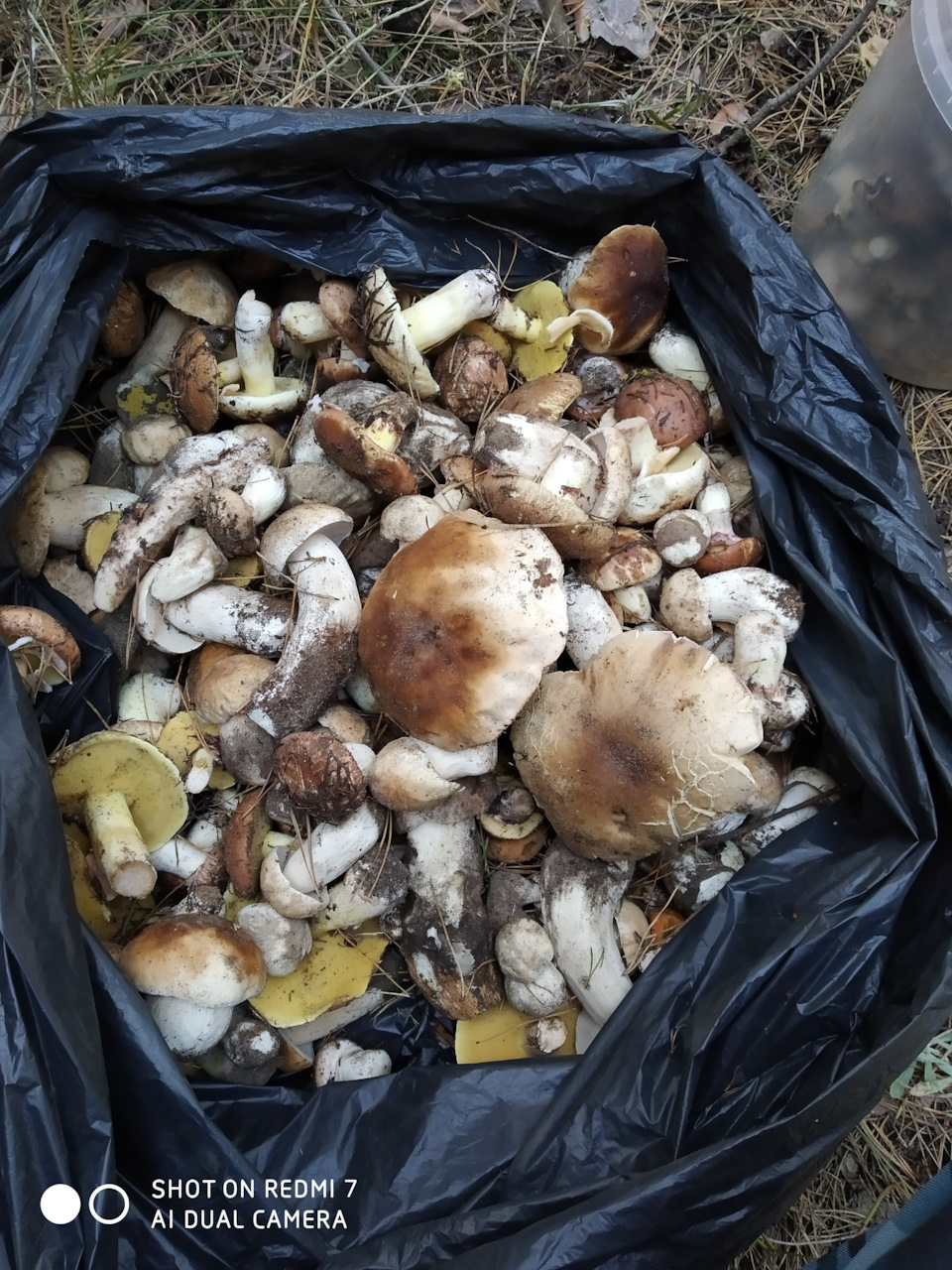 Просто випав вихідний 2