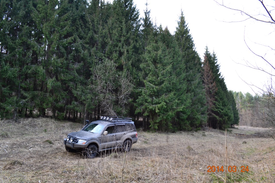 Трохи фотографій. 2