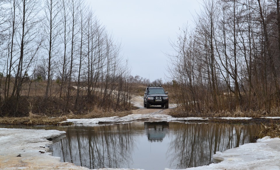 Трохи фотографій з чернігівських полів. 5