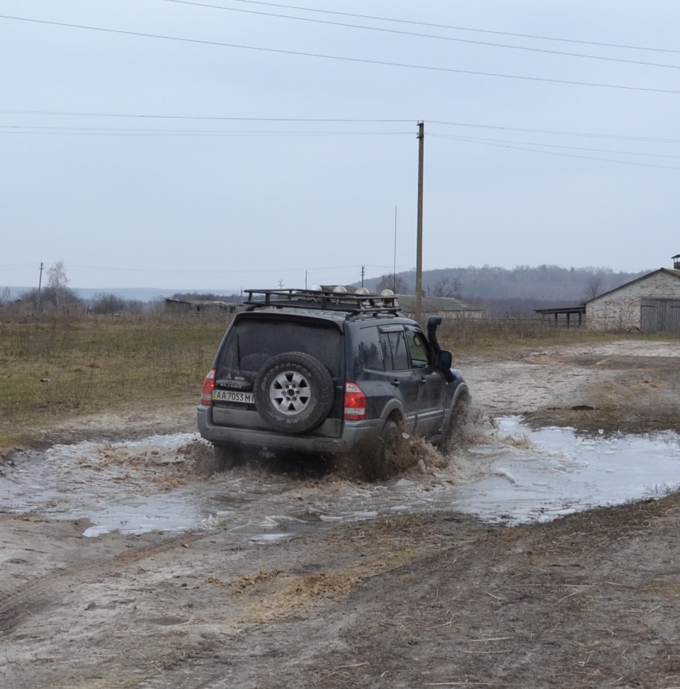 Трохи фотографій з чернігівських полів. 4