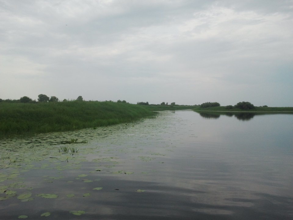 Рибалка на лінів 4