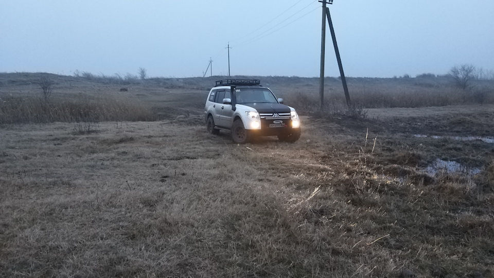 Дружні котушки 26.01.2019 1