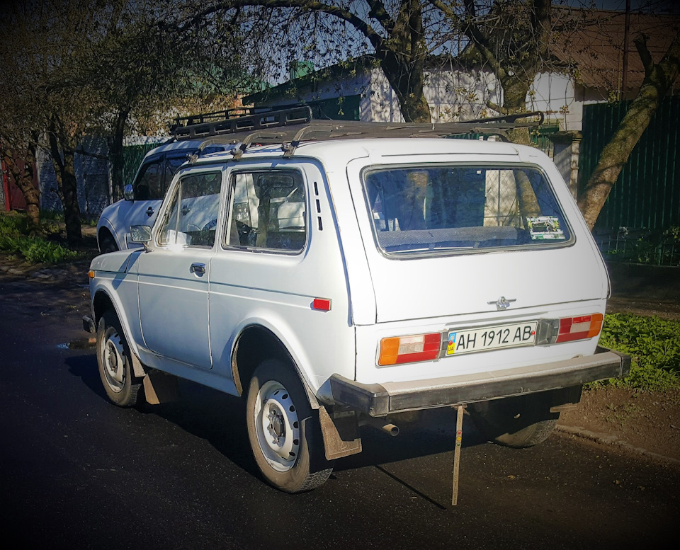 Mini Panda або проект відродження! 1